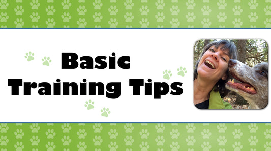 10 Things Your Dog Wants You to Know