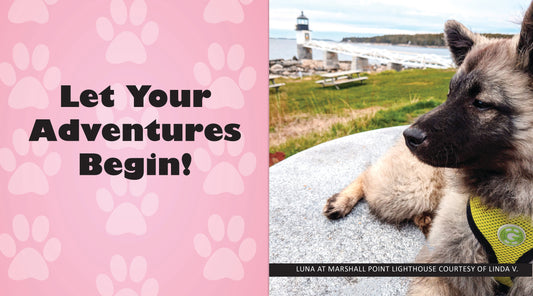 Let Your Adventures Begin!