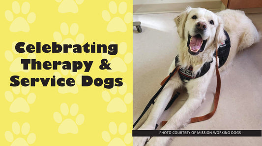 Celebrating Therapy & Service Dogs