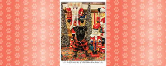 Holiday Movies Have Gone to the Dogs