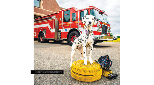 Dog Celebrations & Happenings in May
