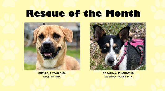 Passion for Pets Rescue