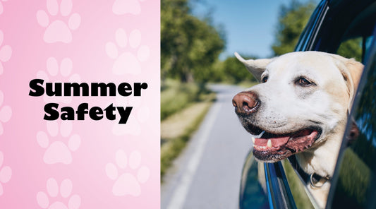 Summer Safety