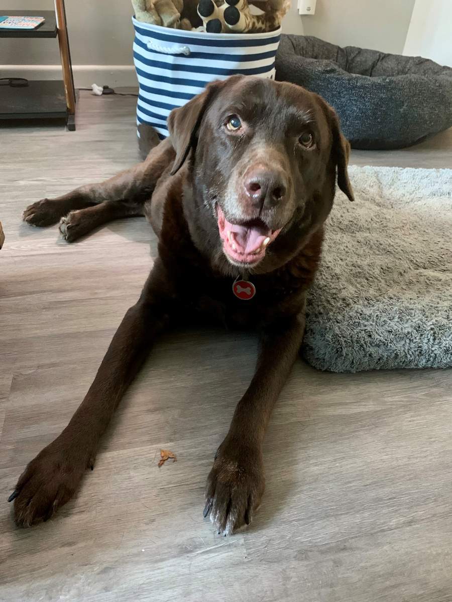 Cooper