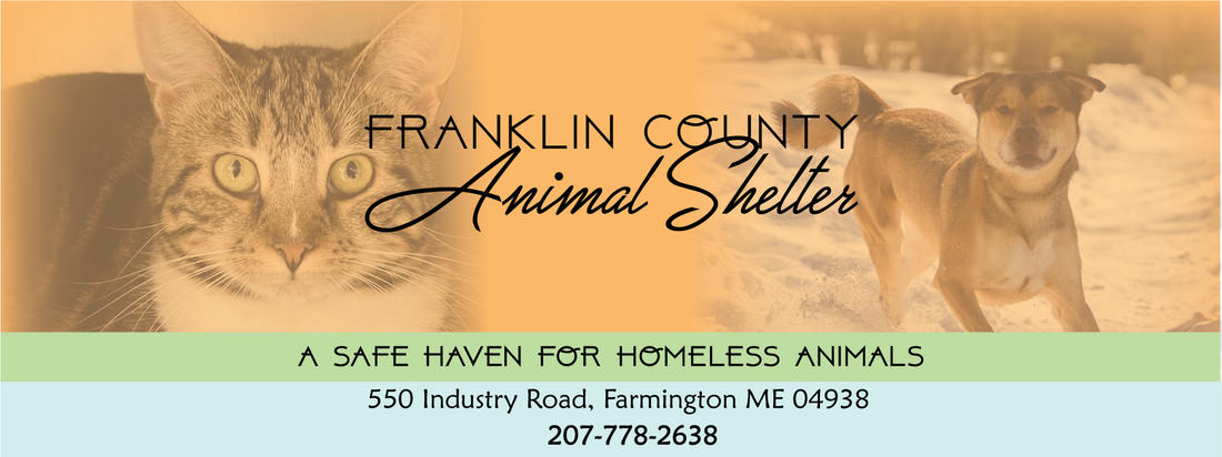 Franklin County Animal Shelter Launches Expansion  Project and Holiday Fundraisers to Support Growing Need