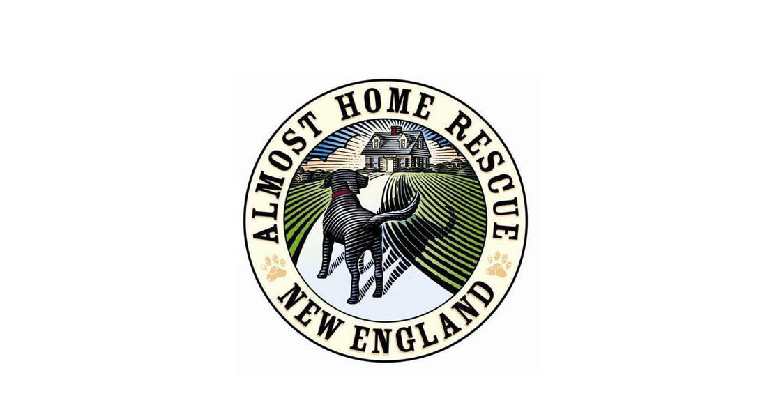 Almost Home Rescue New England