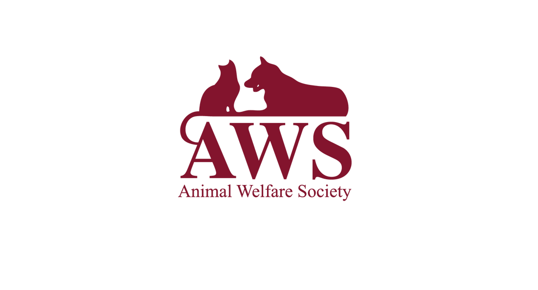 New Executive Director - AWS