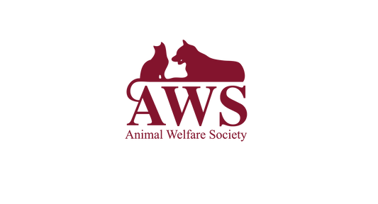 New Executive Director - AWS