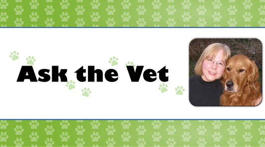 Ask a Vet - The Adult Dog