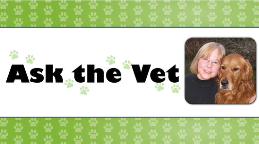 What’s for Dinner?