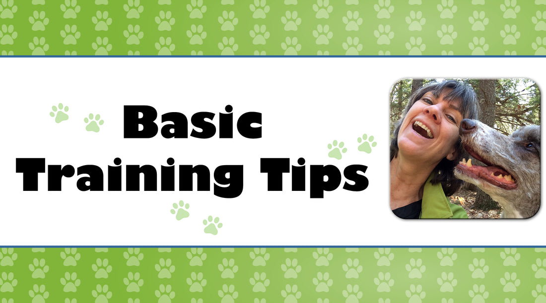 Basic Training Tips
