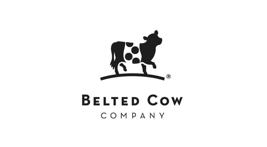 Belted Cow