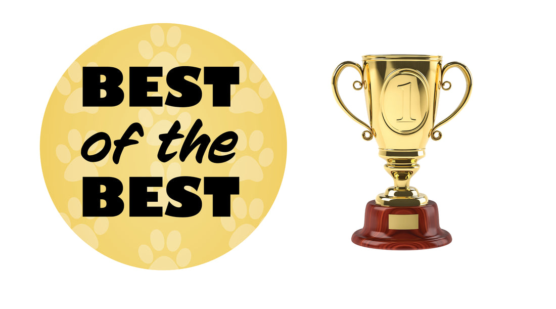 Best of the Best