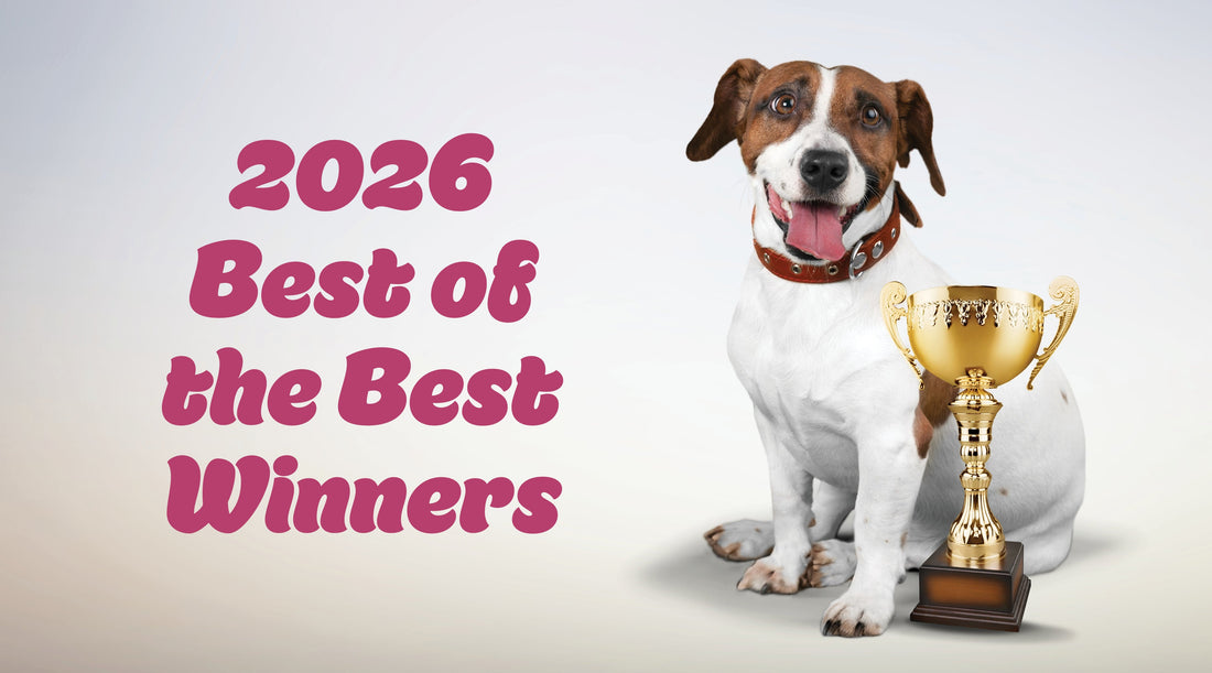 2026 BEST of the BEST Winners