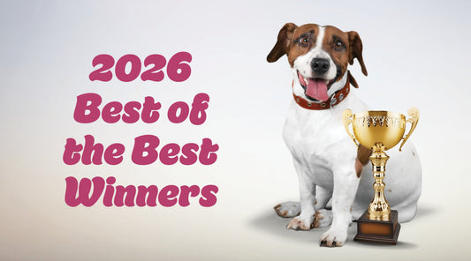 2026 BEST of the BEST Winners