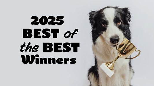 Best of the Best Winners