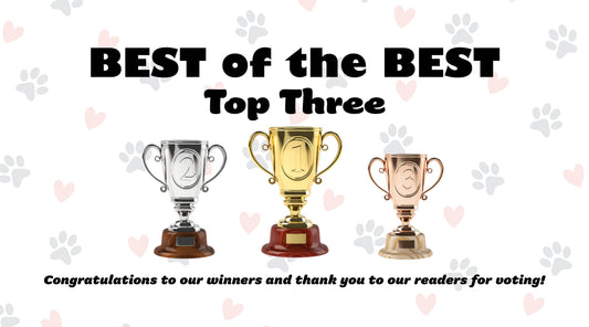 BEST of the BEST Top Three