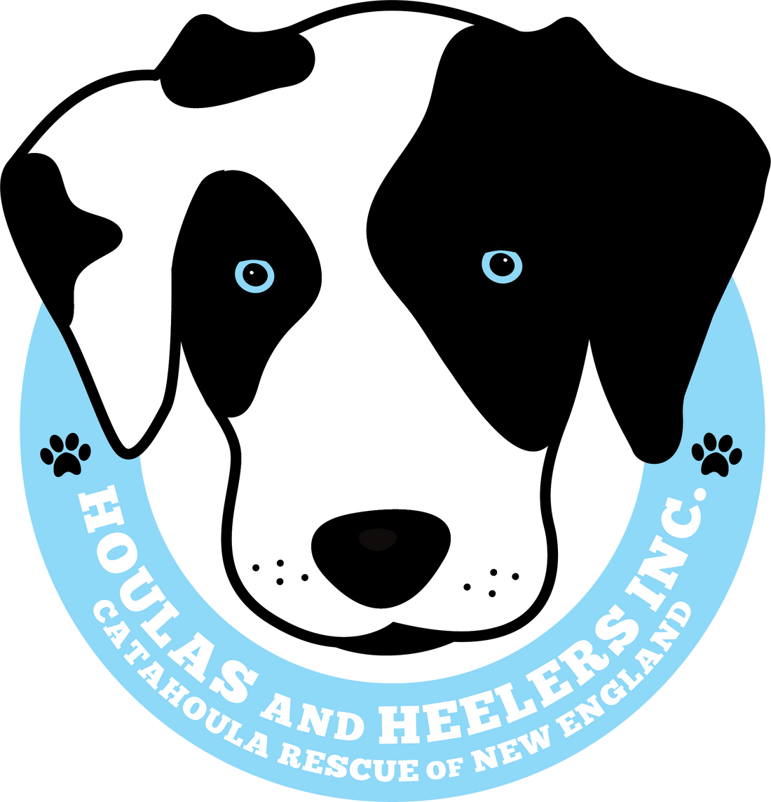 Catahoula Rescue of New England