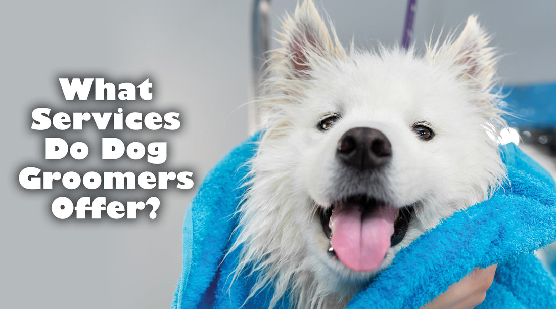 What Services Do Dog Groomers Offer?