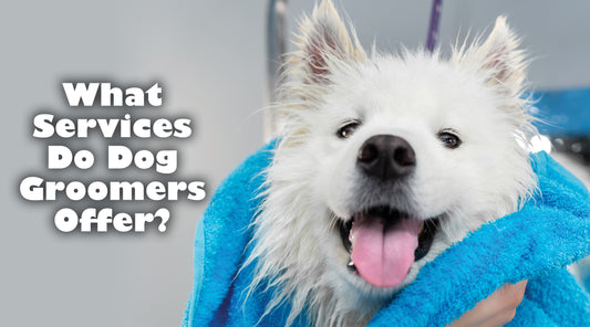 What Services Do Dog Groomers Offer?