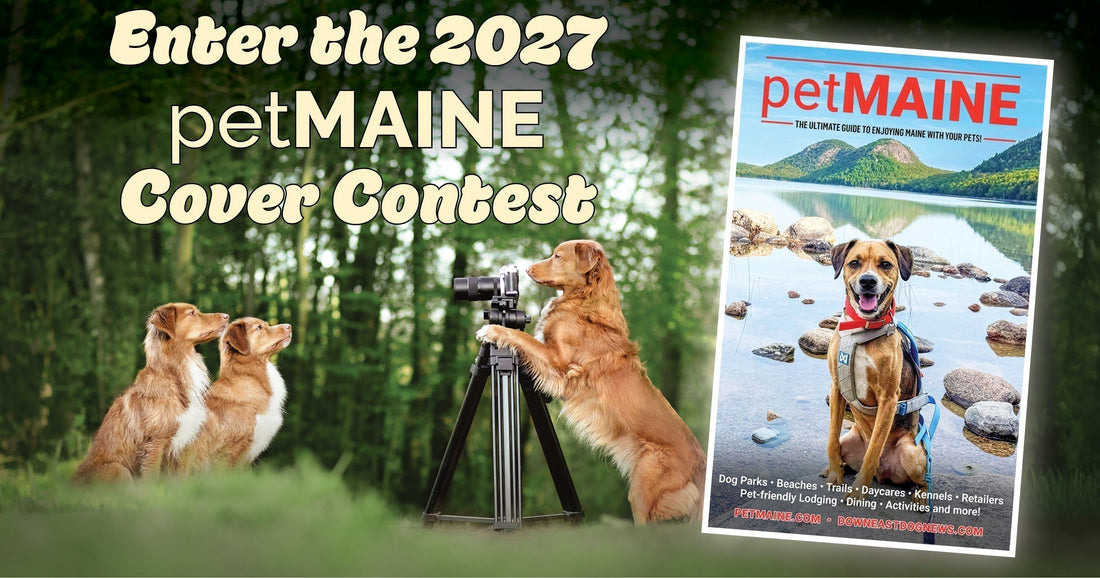 2027 petMAINE Contest