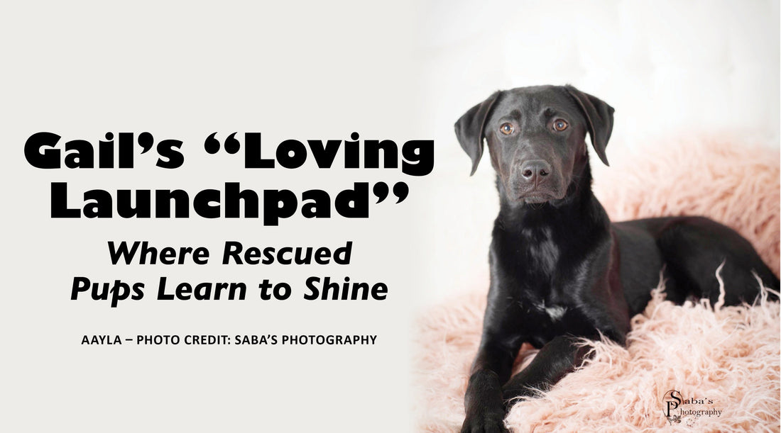 Gail’s “Loving Launchpad”