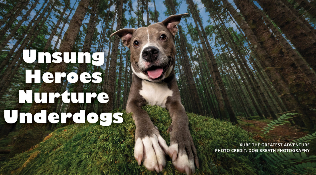 Unsung Heroes Nurture Underdogs