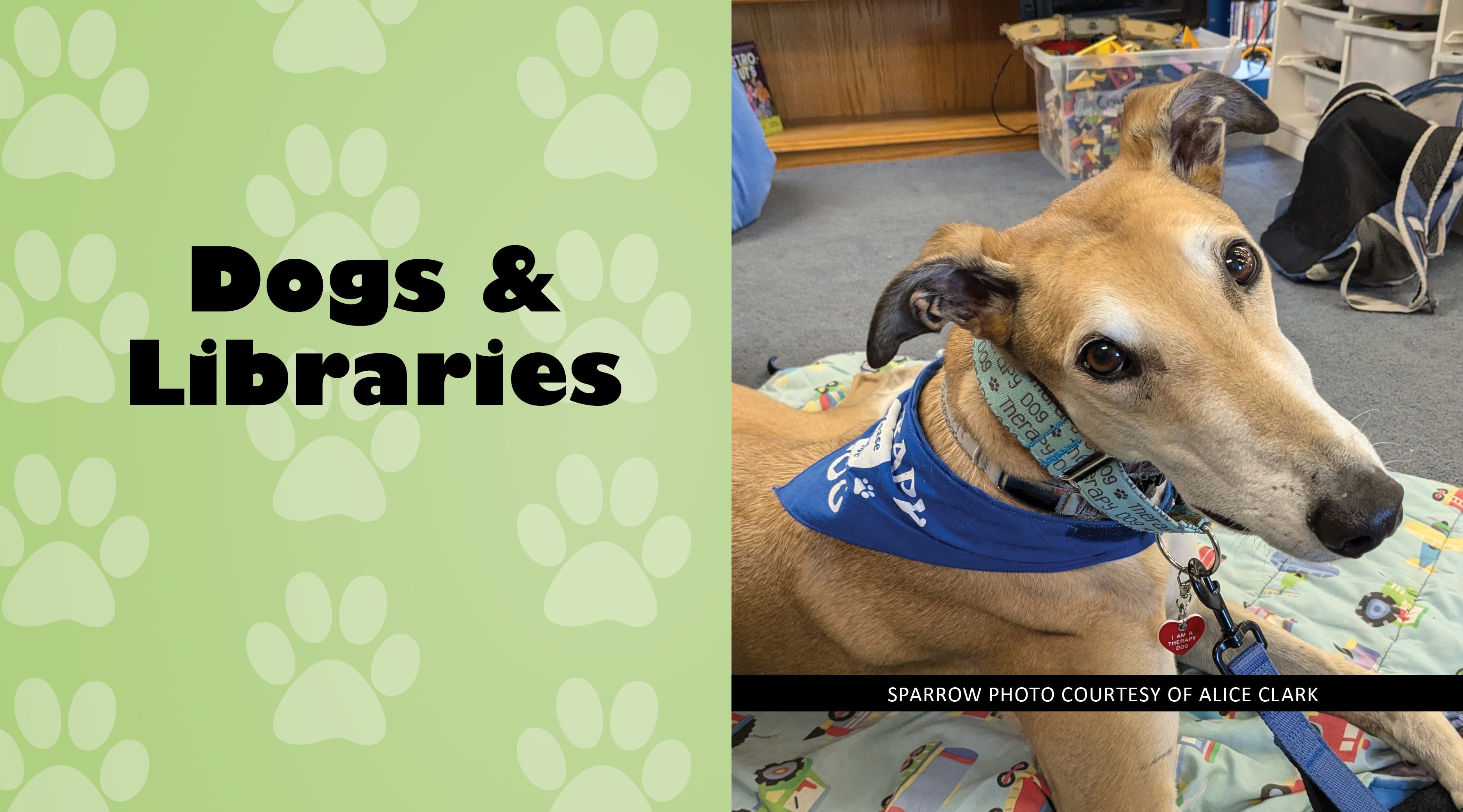 Dog Library Dogs & Libraries – Downeast Dog News