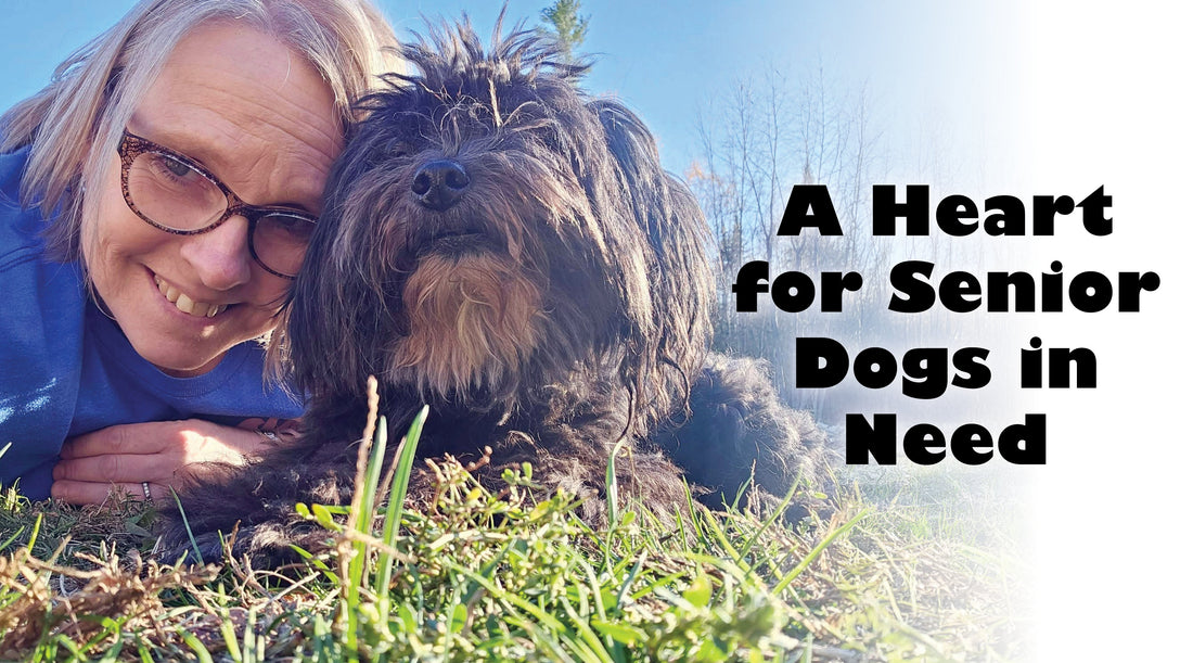 A Heart for Senior Dogs in Need