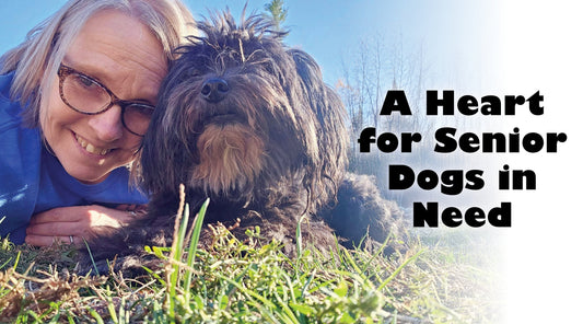 A Heart for Senior Dogs in Need