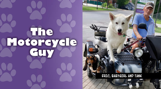 The Motorcycle Guy