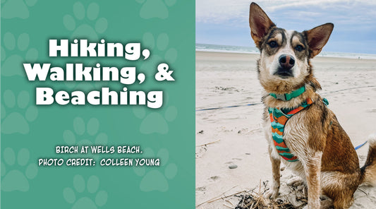 Hiking, Walking, & Beaching