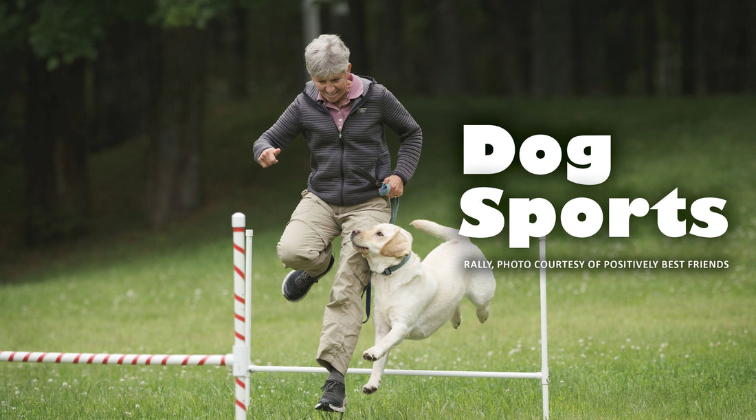Dog Sports