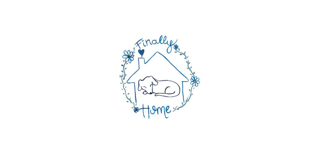 Pet First Aid/CPR Class to Benefit Finally Home Senior Dog Rescue and Retirement Home and Maine POM Project