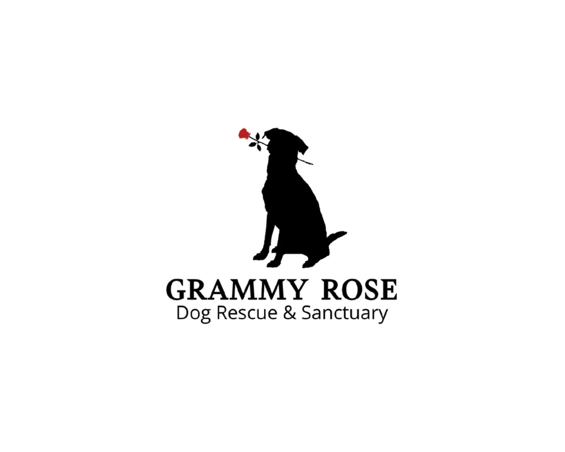 Grammy Rose Dog Rescue &  Sanctuary Selected as Hannaford Community Bag Program Beneficiary for September 2026