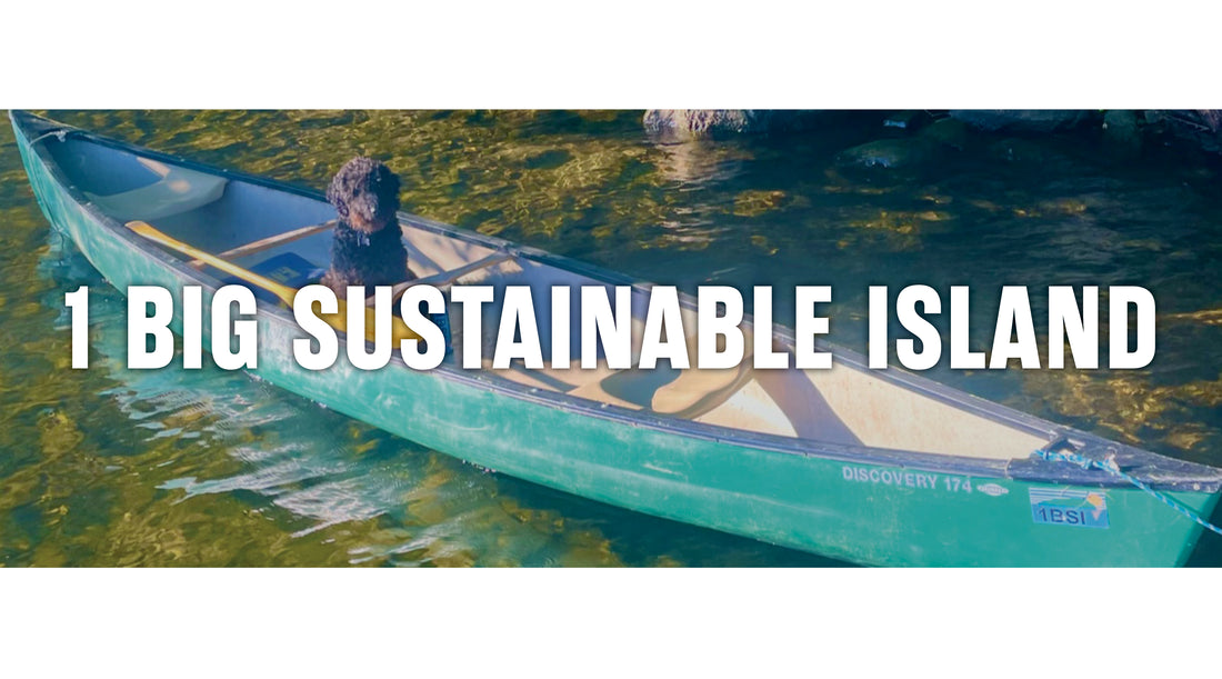 1 BIG SUSTAINABLE ISLAND