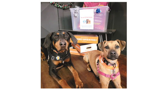 Banded Brewing Co. Dog Food Drive