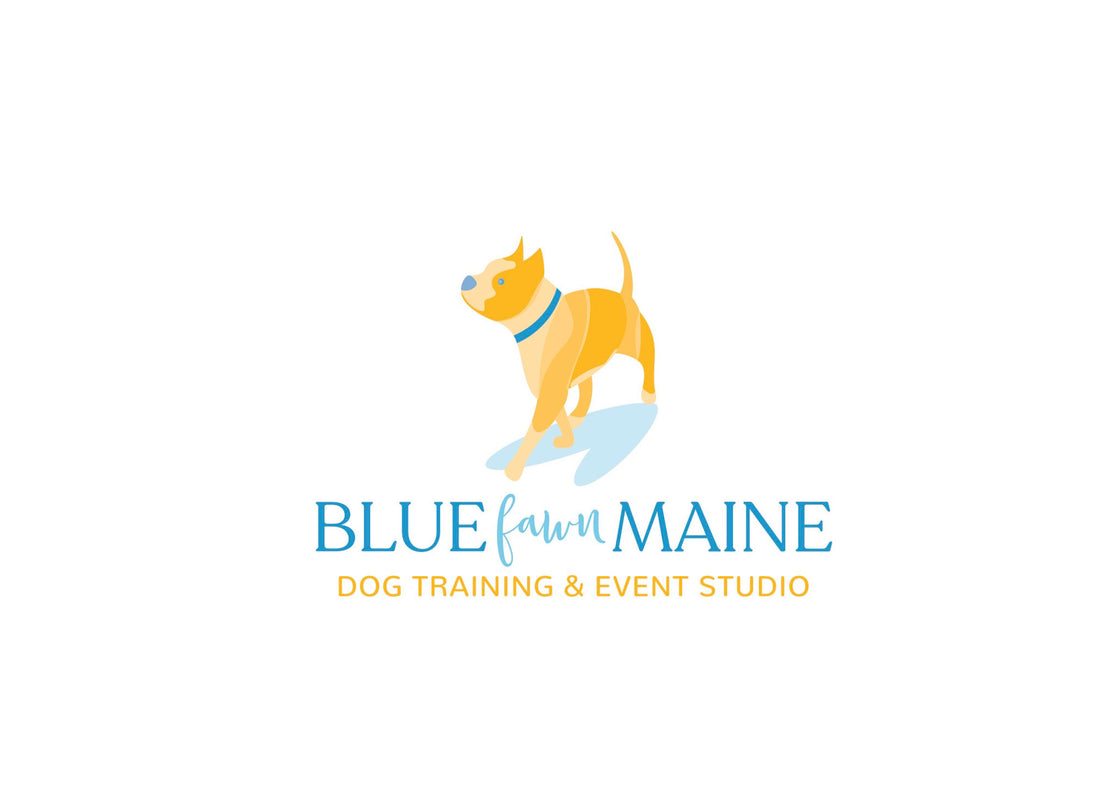 Join us to celebrate the Grand Opening of Blue Fawn Maine Dog Training & Event Studio