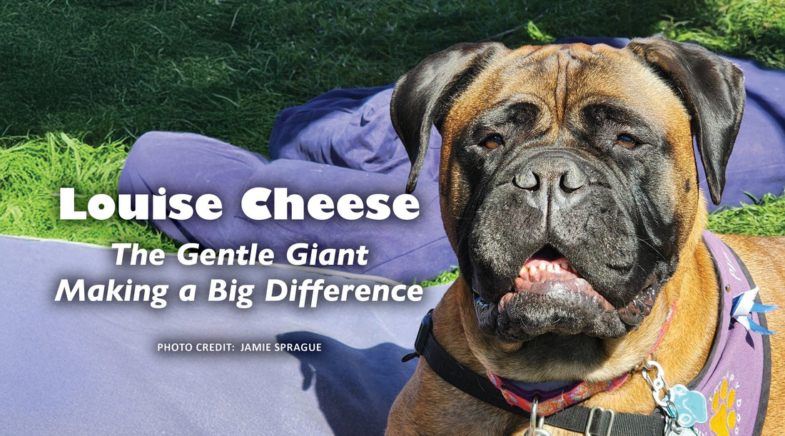 Louise Cheese: The Gentle Giant Making a Big Difference