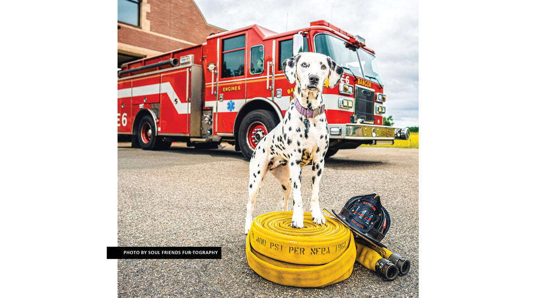 Dog Celebrations & Happenings in May