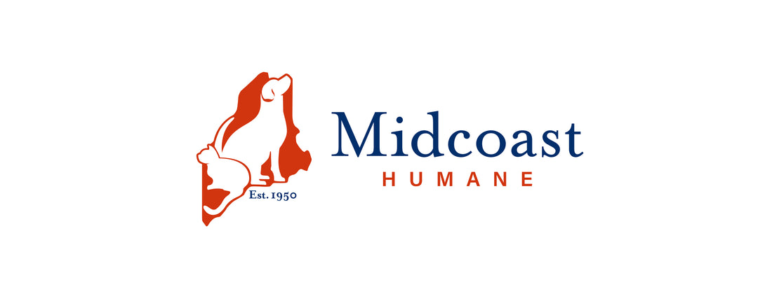 Midcoast Humane Announces Public, Low-Cost Spay/Neuter Clinics