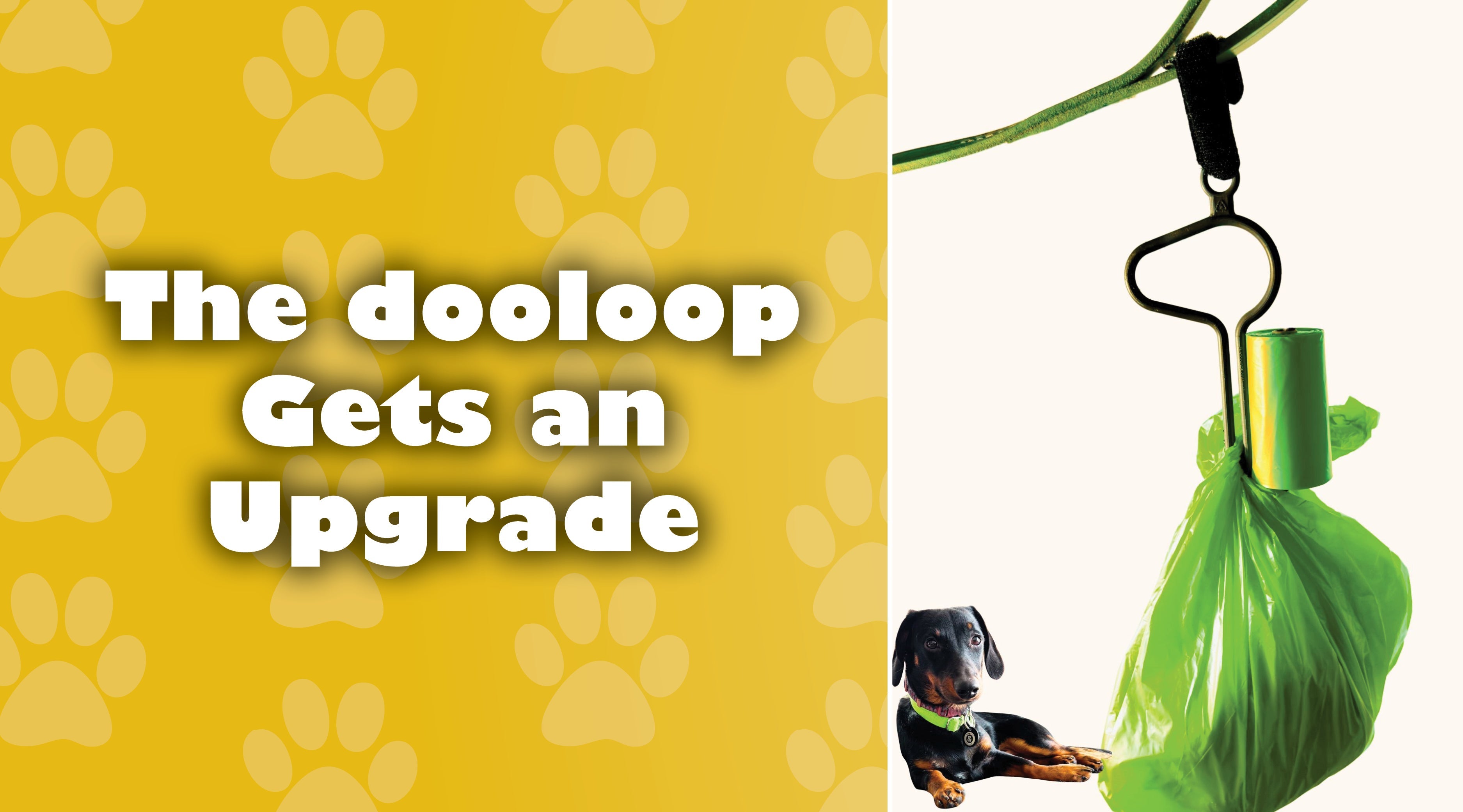 The dooloop Gets an Upgrade – Downeast Dog News