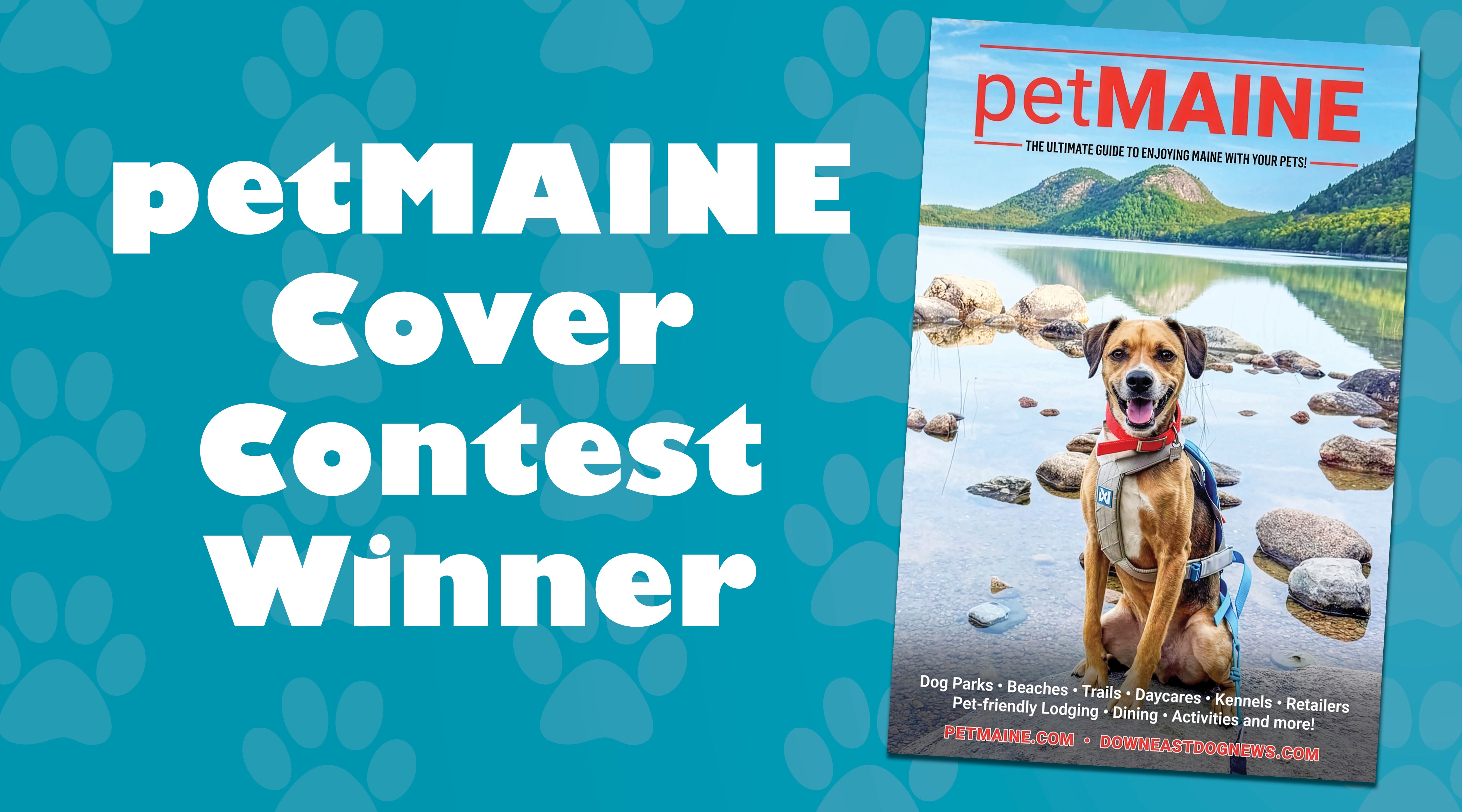 petMAINE Cover Contest Winner! – Downeast Dog News