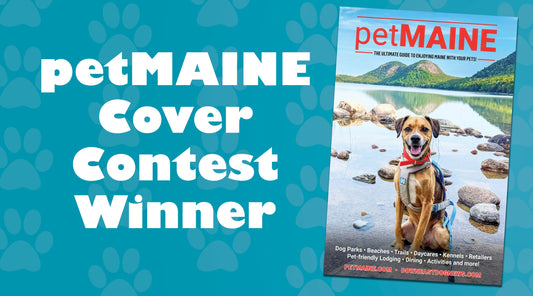 petMAINE Cover Contest Winner!