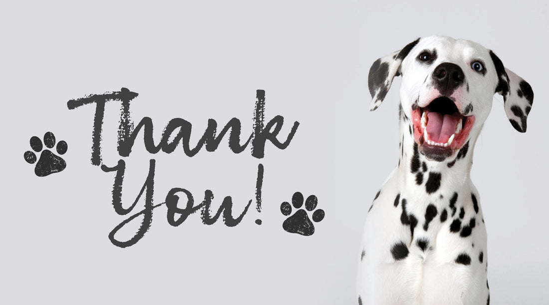 Thank you to last month’s Adopt-a Shelter-Dog Supporters!
