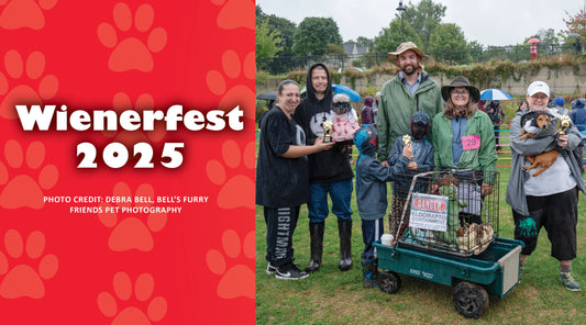 Wienerfest 2025