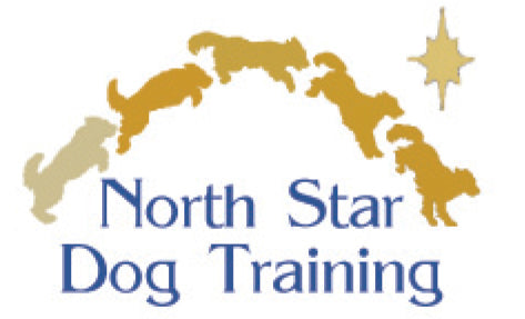 North Star Dog Training School