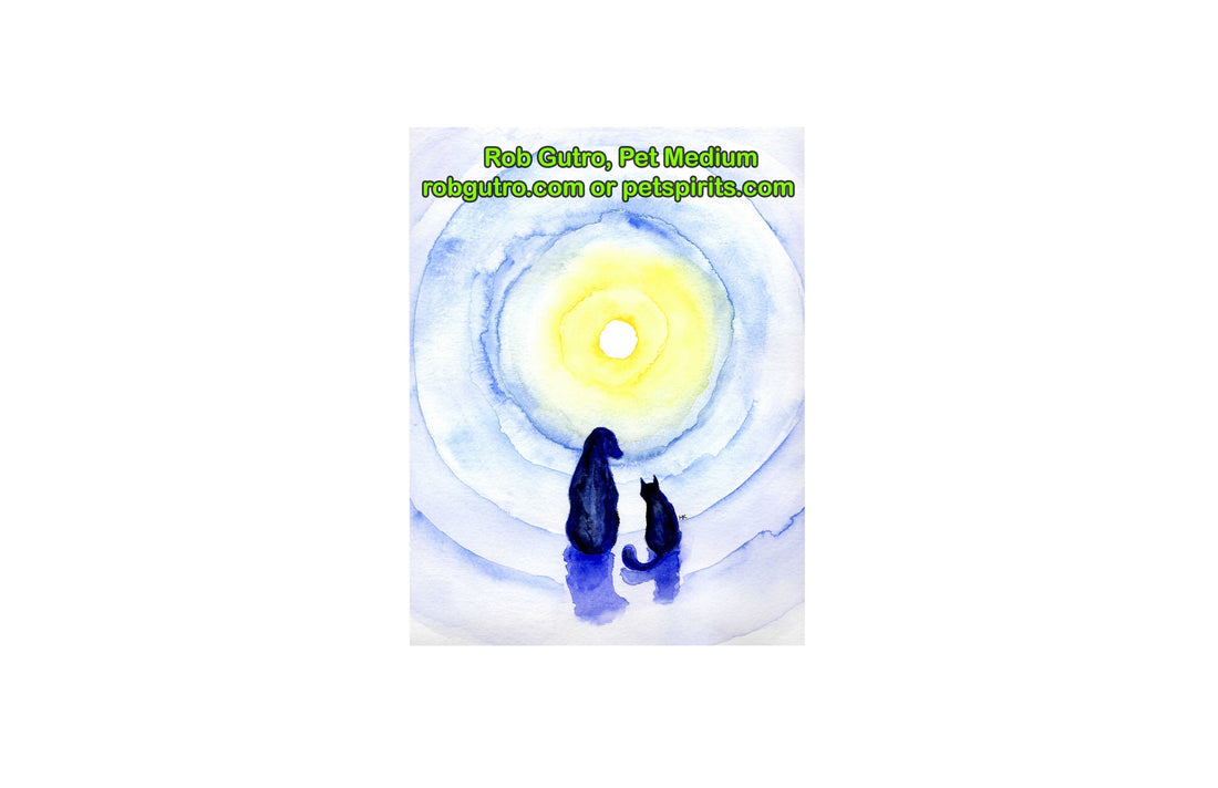 Rob Gutro Author and Pet Medium