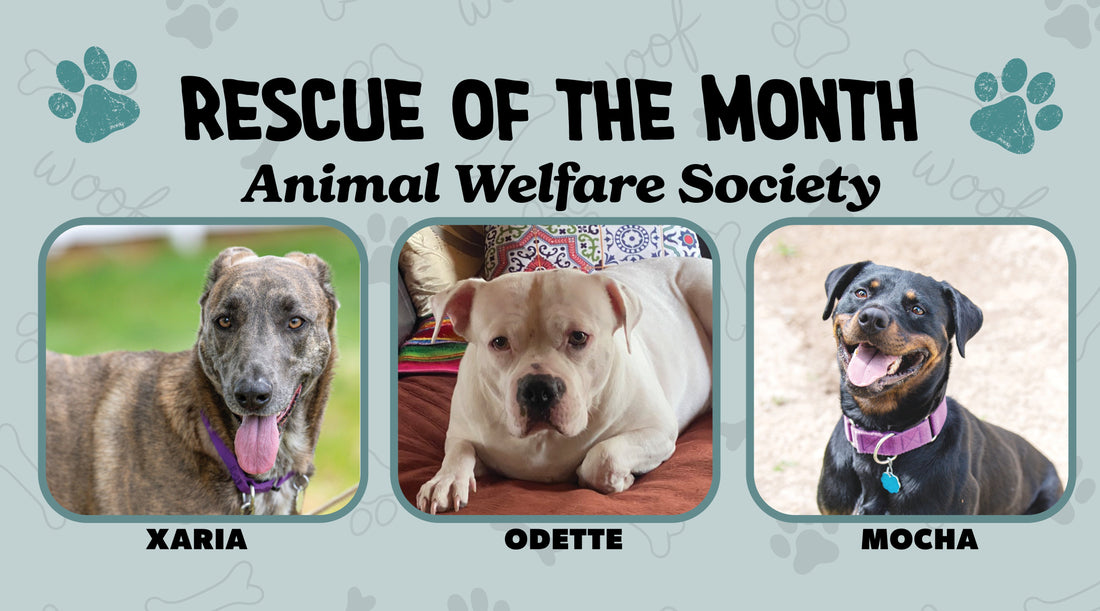 Animal Welfare Society