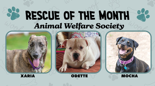 Animal Welfare Society